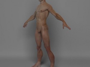 photo realistic male 3D Модель
