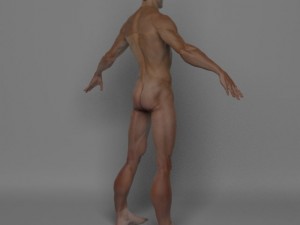 photo realistic male 3D Модель
