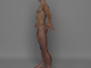 photo realistic male 3D Модель