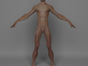 photo realistic male 3D Модель