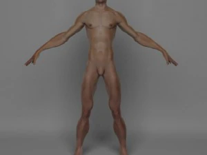 photo realistic male 3D Model