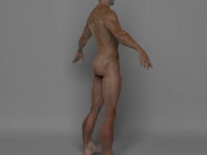 photo realistic male 3D Model