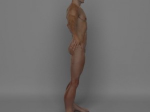 photo realistic male 3D Модель