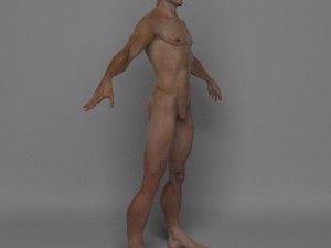 photo realistic male 3D Модель