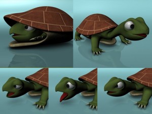 cute turtle rigged Modello 3D