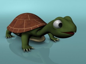 cute turtle rigged Modello 3D
