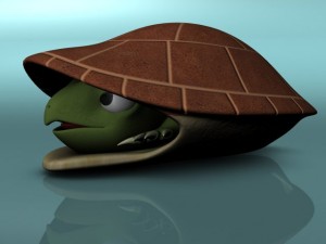 cute turtle rigged Modello 3D