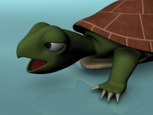 cute turtle rigged Modello 3D