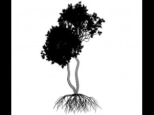 broadleaf tree 004 3D Model