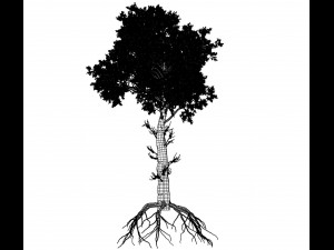 broadleaf tree 005 3D-Modell