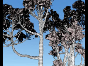 &aacute;rvore con&iacute;fera 004 Modelo 3D