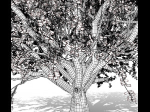beech tree 001 - fagus grandifolia 3D मॉडल