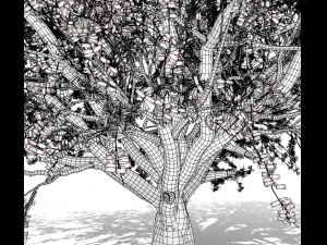 faia 001 - fagus grandifolia Modelo 3D