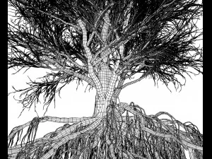 faia 002 - fagus grandifolia Modelo 3D