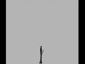 american chestnut tree 001 - growth animated 3D 모델