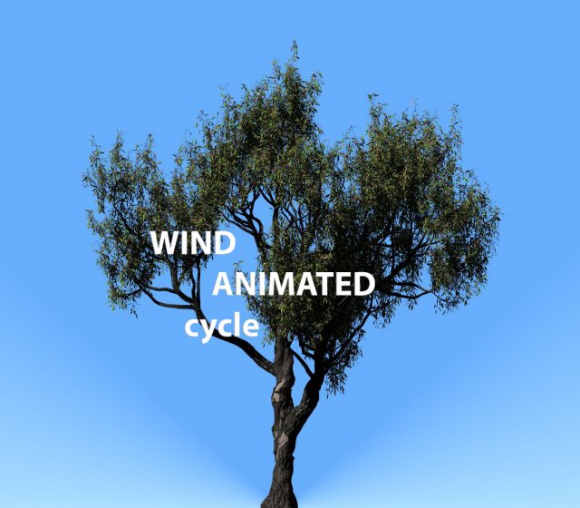 american chestnut tree 001 - wind animated 3D-Modell .c4d .max .obj .3ds .fbx .stl .blend 