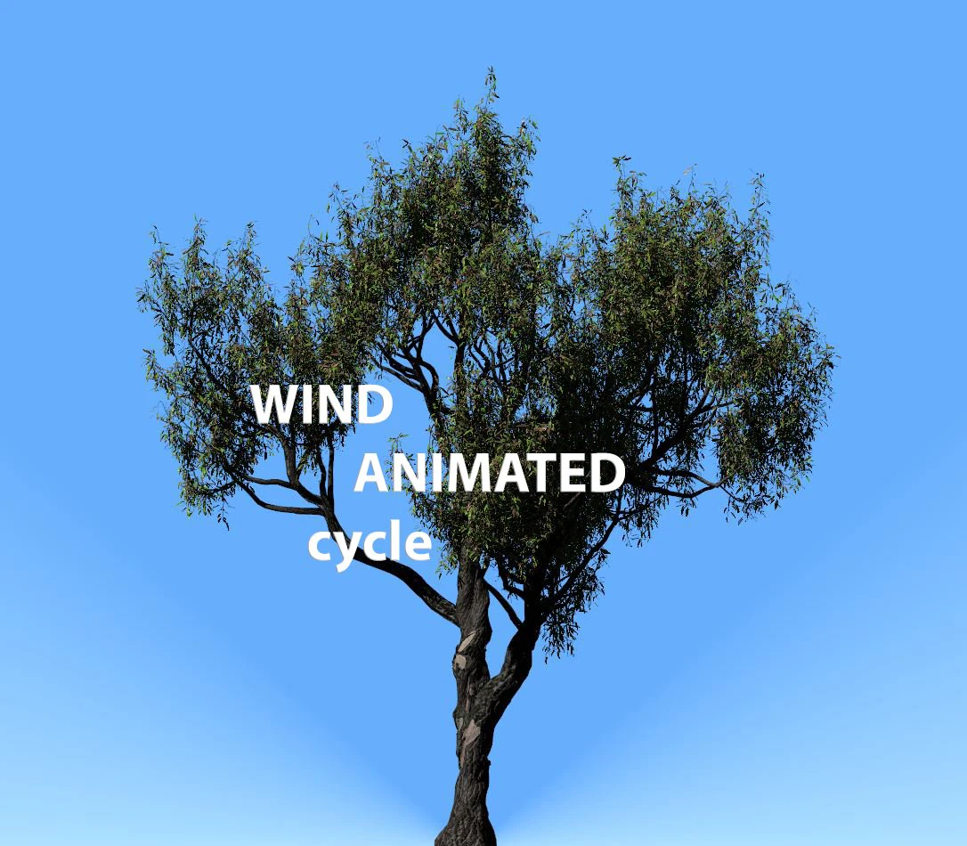 american chestnut tree 001 - wind animated 3D Model .c4d .max .obj .3ds .fbx .stl .blend