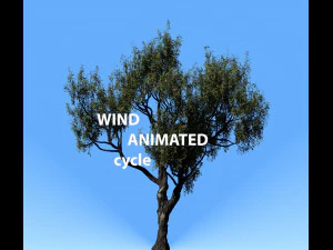 Castanheiro americano 001 - vento animado Modelo 3D