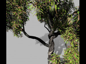 american chestnut tree 001 - wind animated 3D-Modell