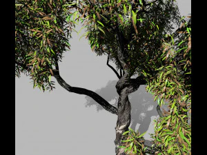 american chestnut tree 001 - wind animated 3D Model