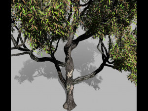 american chestnut tree 001 - wind animated 3D-Modell