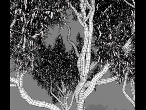 american chestnut tree 001 - wind animated 3D-Modell