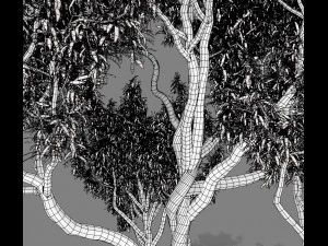 american chestnut tree 001 - wind animated 3D Model