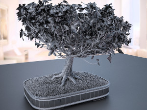 wind animated - american elm bonsai 001 3D मॉडल