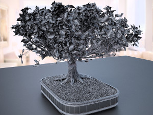 wind animated - american elm bonsai 001 3D मॉडल