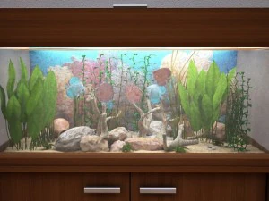 arm&aacute;rio de aqu&aacute;rio v1 Modelo 3D