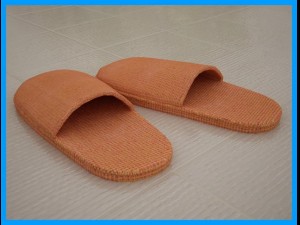 slippers 3D Model