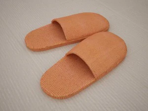 slippers 3D Model