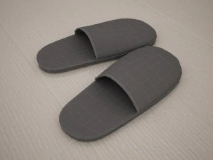 slippers 3D Model