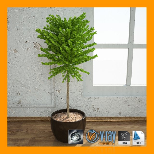 interiorplant3 Modello 3D .c4d .max .obj .3ds .fbx .stl .blend 