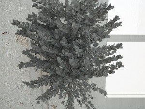 interiorplant3 Modello 3D