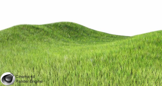 dynamic grass 3Dモデル .c4d .max .obj .3ds .fbx .stl .blend 