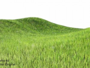 dynamic grass 3D Model