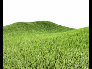 dynamic grass 3Dモデル
