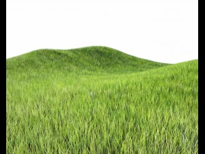 다이나믹 잔디 3D 모델