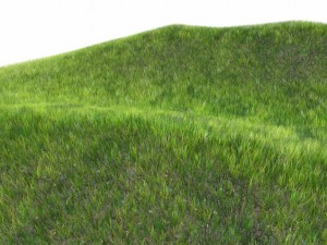dynamic grass 3Dモデル