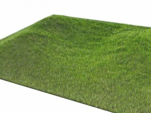 다이나믹 잔디 3D 모델