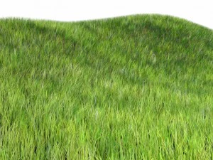 다이나믹 잔디 3D 모델