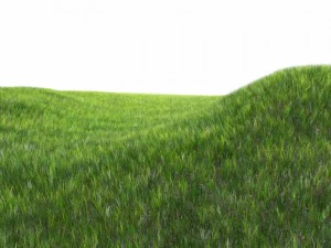 다이나믹 잔디 3D 모델