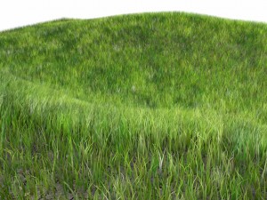 dynamic grass 3Dモデル