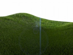 다이나믹 잔디 3D 모델