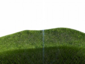 dynamic grass 3Dモデル
