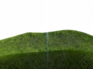 다이나믹 잔디 3D 모델