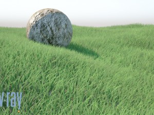 realistic grass 3D Model