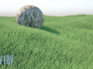 realistic grass 3D Model