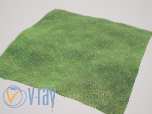 realistic grass 3D Model